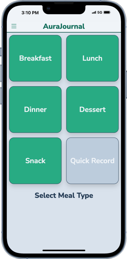 AuraJournal Interface
